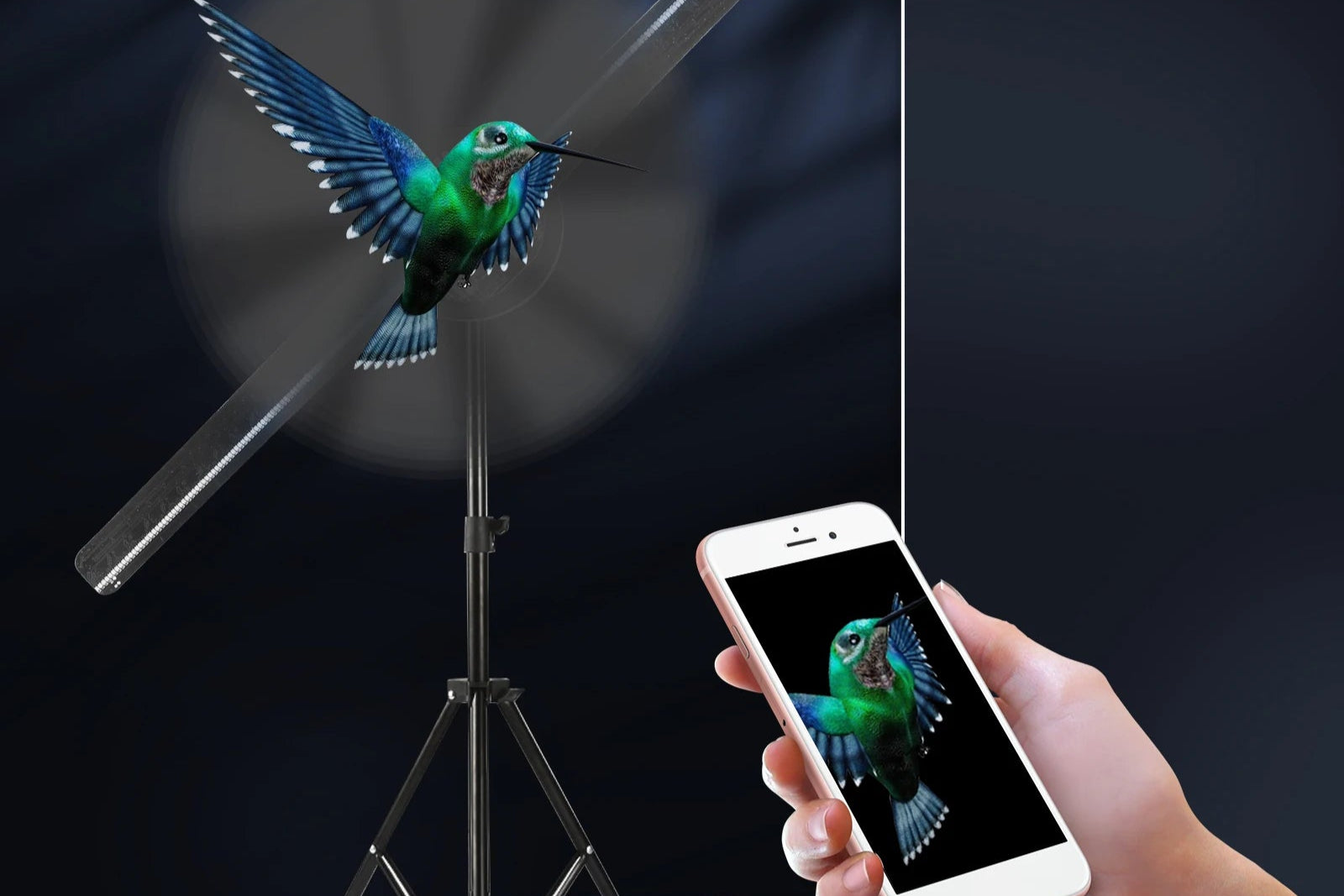 42Cm/16.5Inch 3D Holographic Projector Wifi 224 LED Lamp Beads Upload Holographic 3D Advertising Light Imaging Hologram Player