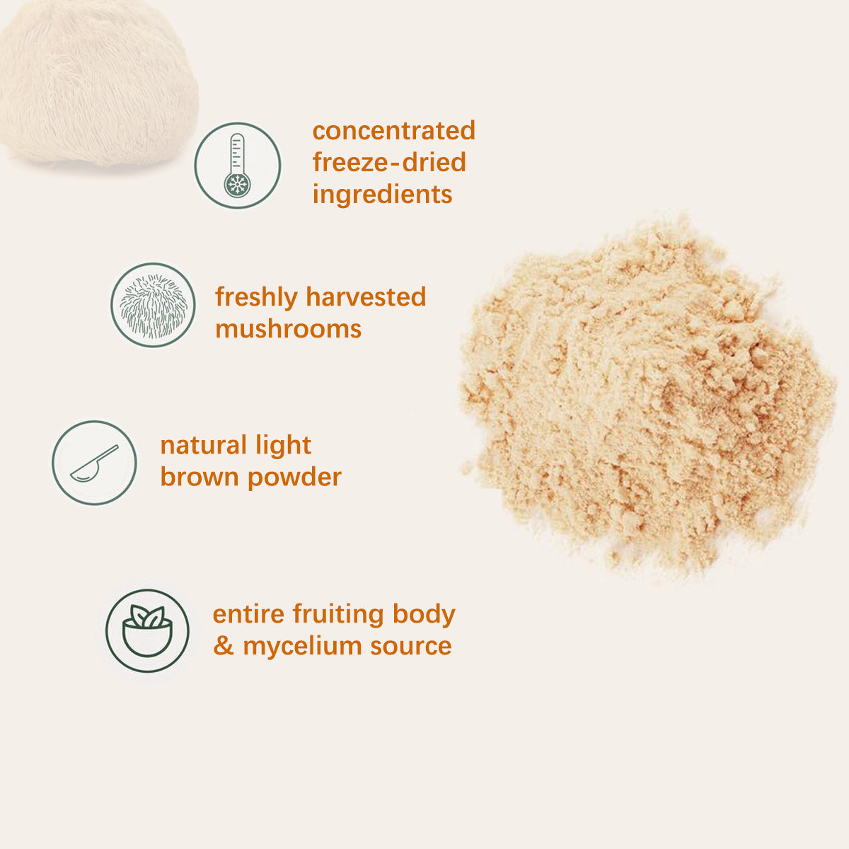 Natural light brown mushroom powder highlighting food health mushroom powder benefits and freeze-dried ingredients